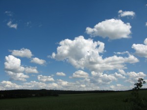 blue-sky thinking and greener-pastures actions