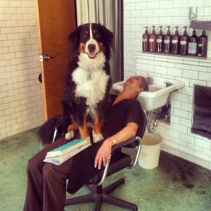 Gustav sitting on Your Brain at Workhair salon 