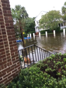 kayaks on street