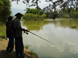 fishing